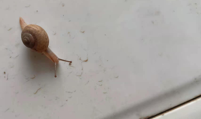һ���������